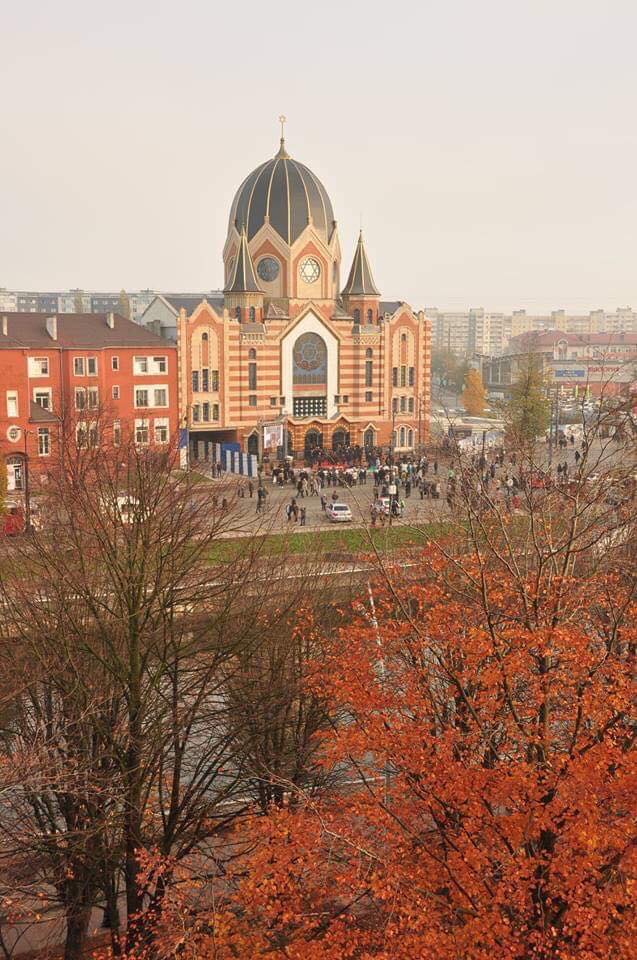 Synagogue Kaliningrad Autumn