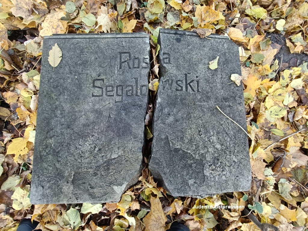 Read more about the article New discovery at the Jewish cemetery in Kaliningrad / Königsberg